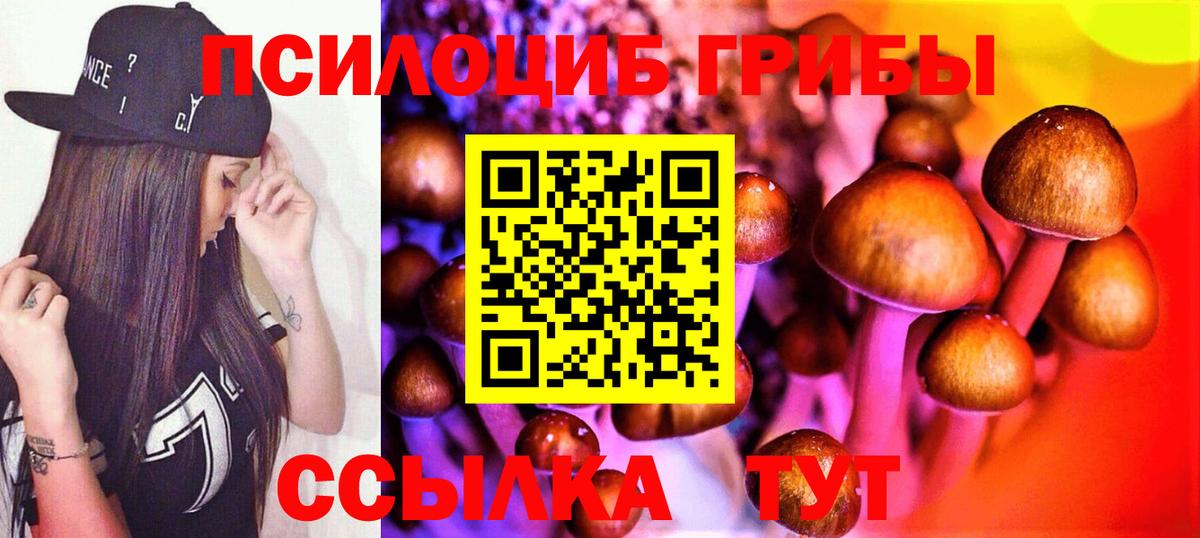 Псилоцибиновые грибы ЛСД Солнечногорск