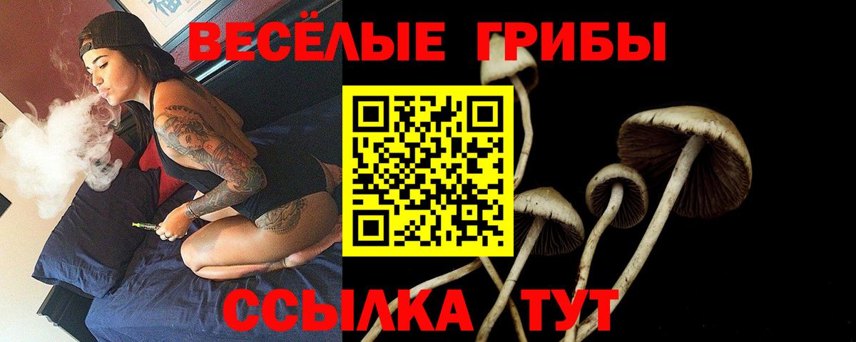 Псилоцибиновые грибы Cubensis  Псилоцибиновые грибы Cubensis  Солнечногорск  Вход с VPN 
